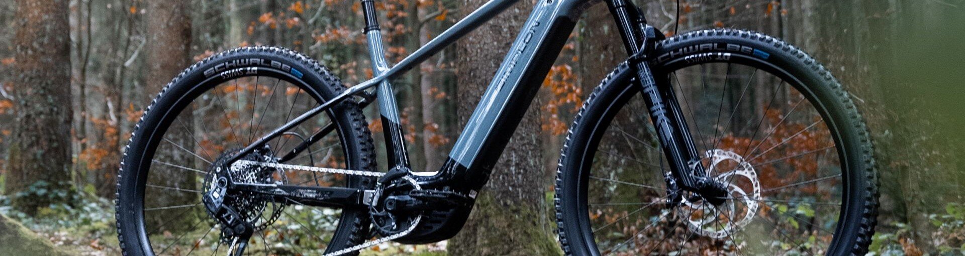 E-MTB Hardtail