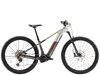 Trek Powerfly+ 6 EU L 29 Lunar Silver/Mercury